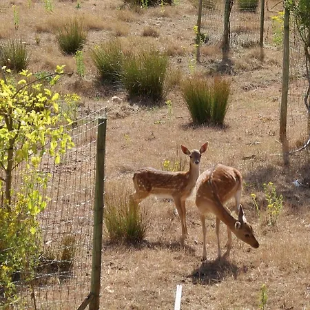 Quinta Do Medronhal Cadaval